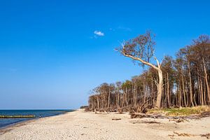 Strand an der Küste der Ostsee bei Graal Müritz
