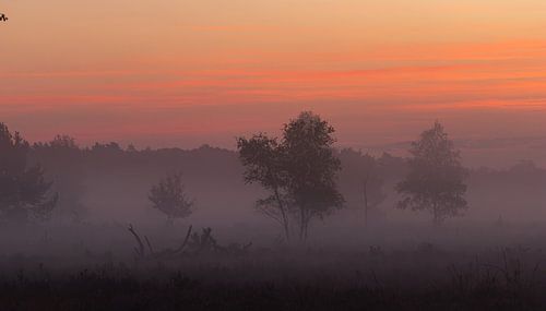 Sunrise natural landscape