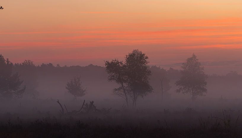 Lever de soleil sur un paysage naturel par Rein van Vemde