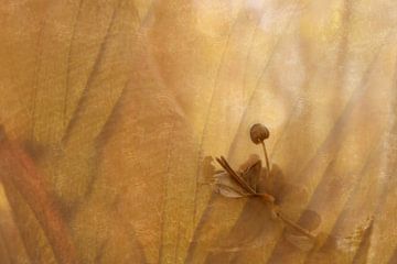 Fine-art Pilz mit goldenen Blättern auf Hintergrund