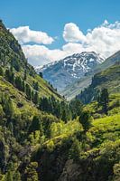 Vent dal uitzicht in de Tiroler Alpen in Austira tijdens de lente