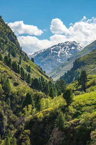 Vent dal uitzicht in de Tiroler Alpen in Austira tijdens de lente van Sjoerd van der Wal Fotografie