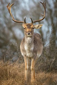 welke kant moet ik op?