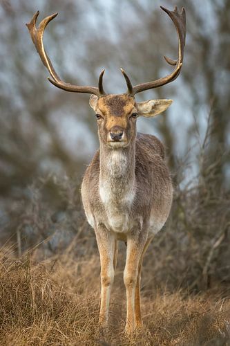welke kant moet ik op?
