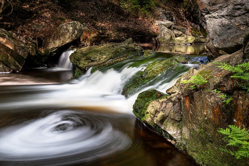 Hoëgne Valley, High Fens, Belgium by Alexander Ludwig