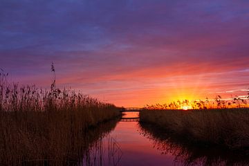 Lever du soleil Alkmaardermeer sur Dennis Schaefer