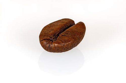 Coffee bean