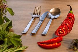 Het bestek van Photoart-Naegele