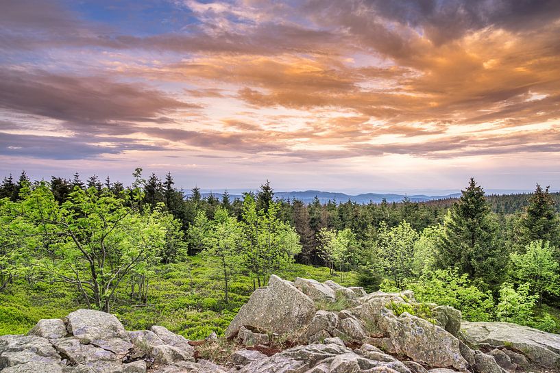 Vue du Sonnenberg par Steffen Henze