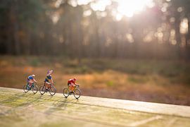 Herbststimmung im Wald von Nele Mispelon