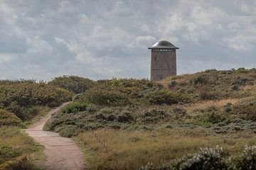 Duinpad naar de watertoren in Domburg van John van de Gazelle fotografie