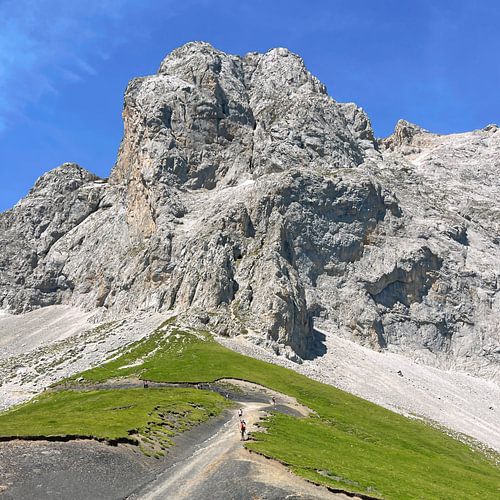 Picos de Europa