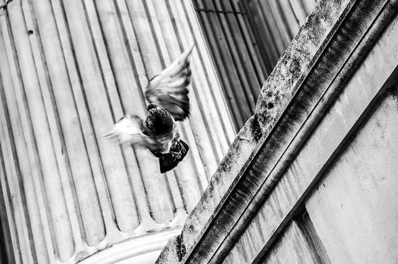 Vliegende duif in Londen van Barbara Koppe