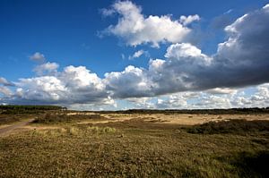 Hollands landschap 2
