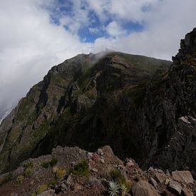 L'épisode de Madère : celui où le ciel s'ouvre sur Bfec.nl