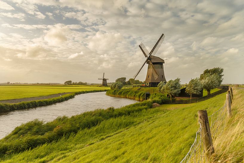 Windmolen in de Schermer par Menno Schaefer