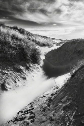 Dune landscape Silent dunes in black and white by eric van der eijk