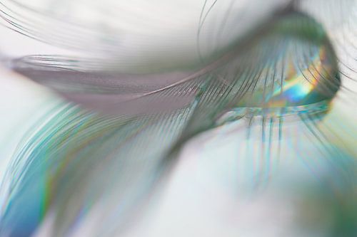 Look, and look again...