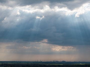 Vliegend in het Gouden Licht van Jeroen Meeuwsen