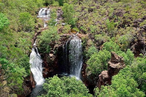 Met uitzicht op Florence Falls