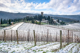 Snowy Vineyards and Badia a Passignano Abbey, Tuscany by Stefano Orazzini