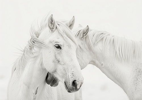 Two Affectionate Mares in a Serene Moment