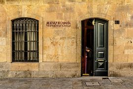 Dienaars van Maria von Jan Hoekstra