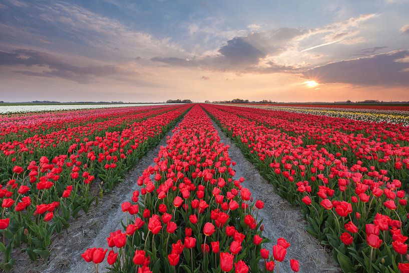 Sunset at Zijldijk von Ron Buist