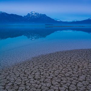 Morgen am Forggensee