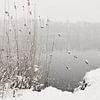 Snowfall At Lake by Lena Weisbek