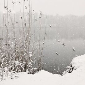 Snowfall At Lake by Lena Weisbek