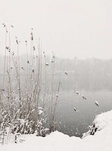 Snowfall At Lake