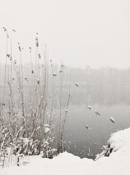 Snowfall At Lake von Lena Weisbek
