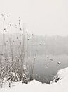 Snowfall At Lake von Lena Weisbek Miniaturansicht