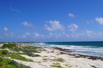 Golven op de kust van Cozumel van Jadzia Klimkiewicz