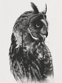 Doppelbelichtung Eule Kunst von haroulita