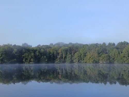 Bäume spiegeln sich im See