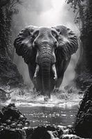 Zwart-wit portret van een olifant in de rivier