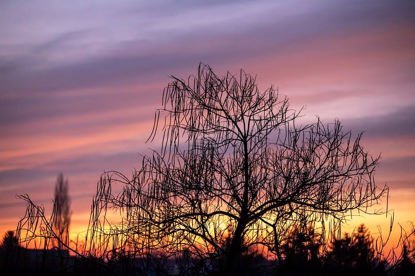 Der Tag erwacht. von t.ART