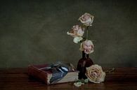 Still life memento mori II by Emajeur Fotografie thumbnail
