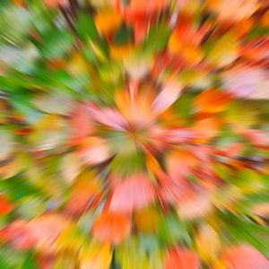 Kleuren en vormen