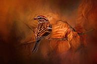 Musgors Vogel zit op een Herfst Tak in Herfstkleuren van Diana van Tankeren thumbnail