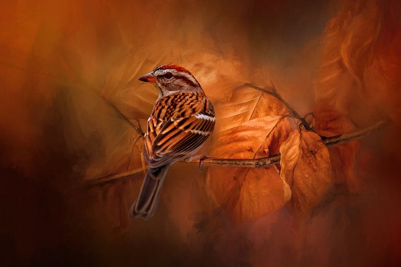 Musgors Vogel zit op een Herfst Tak in Herfstkleuren van Diana van Tankeren