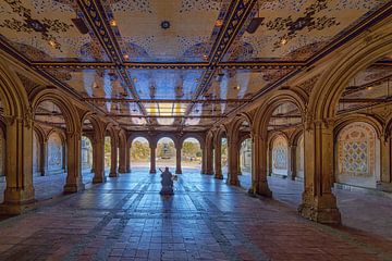 New York Central Park en Engel der Wateren van Kurt Krause