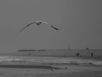 Landschapsfoto Monsterse strand (zwart-wit) van Karen de Geus