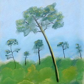 Zomerwind 2 – Pieterpad van Wietske Westra
