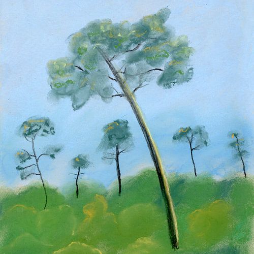 Zomerwind 2 – Pieterpad
