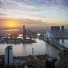 Découvrez la beauté de Rotterdam sur Roy Poots
