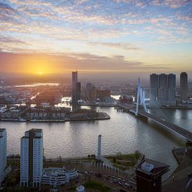 Discover the beauty of Rotterdam