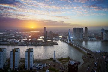 Ontdek de schoonheid van Rotterdam van Roy Poots